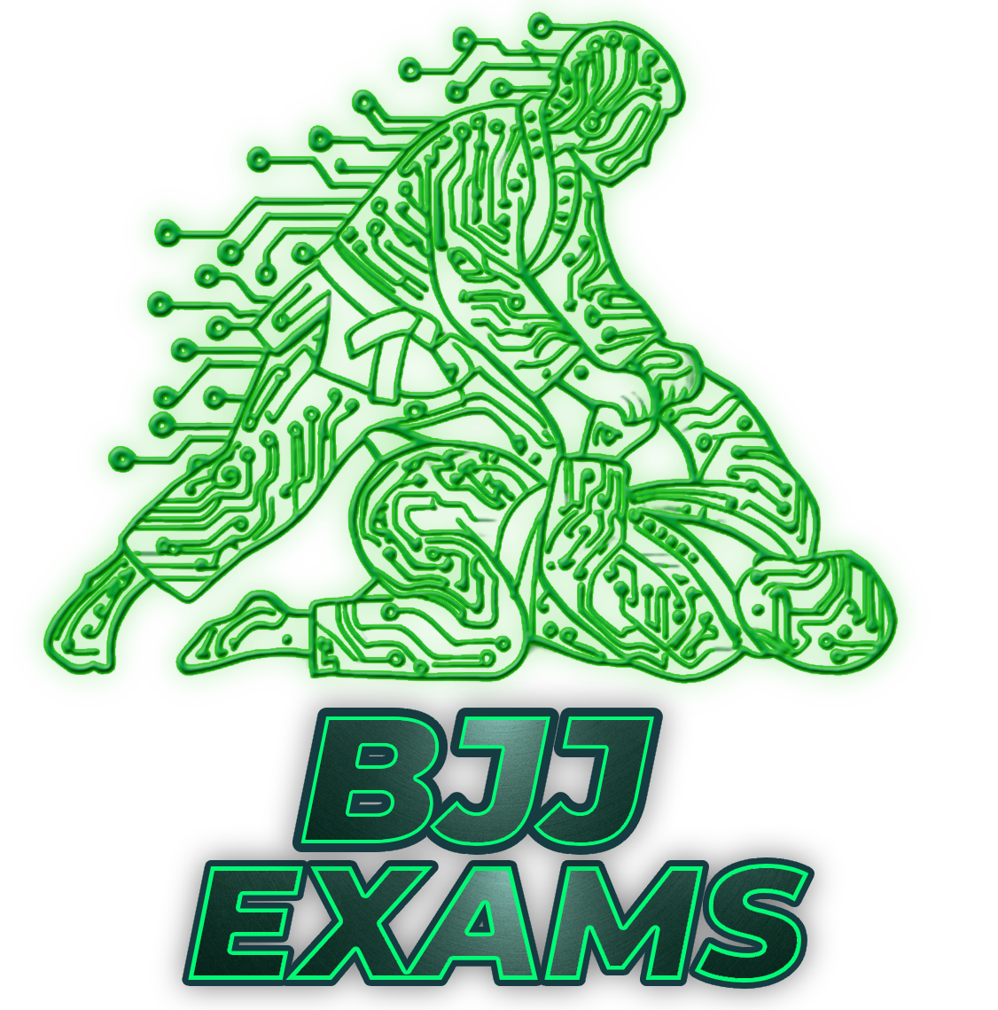 BJJ Exams
